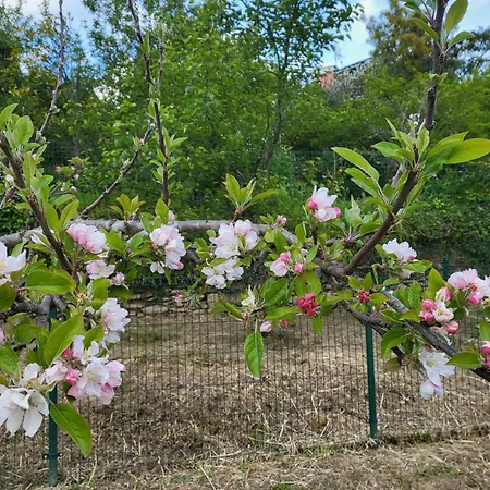 Πανσιόν Angel