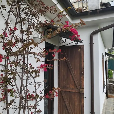 Guest house Angel *