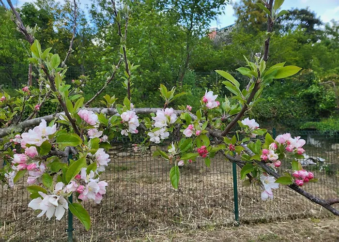 Casa de hóspedes Angel